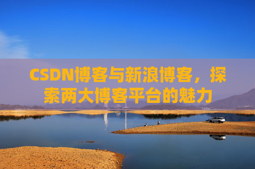 CSDN博客与新浪博客，探索两大博客平台的魅力